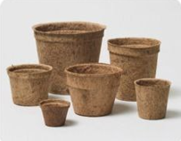 Coir Pot