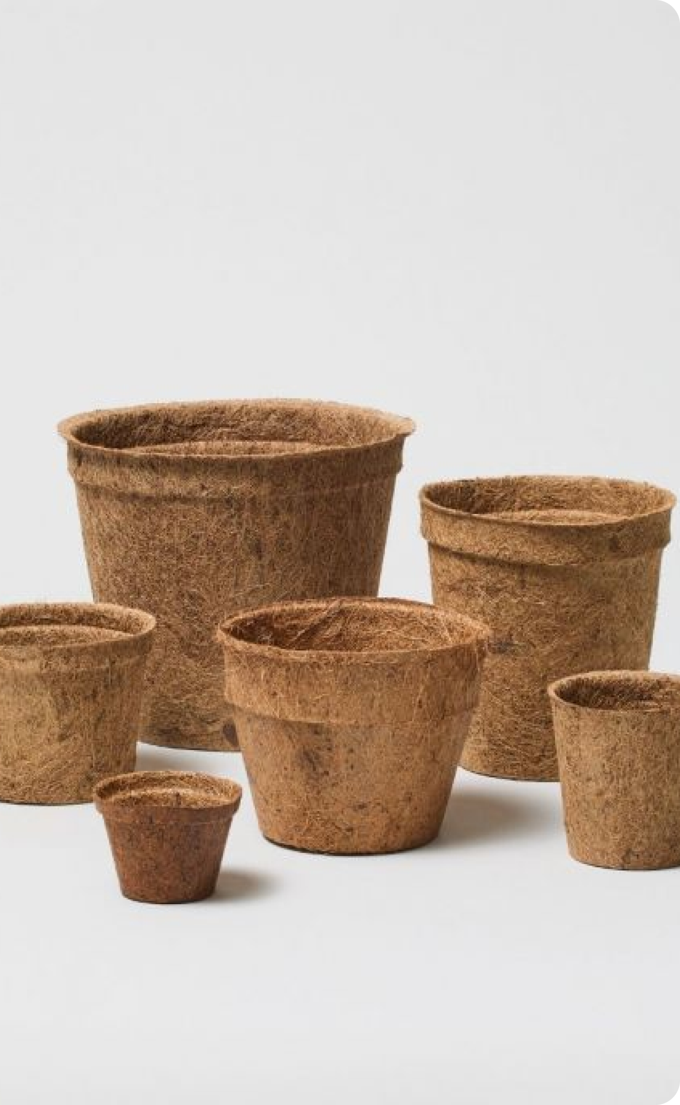 EcoPuls Coir Pot
